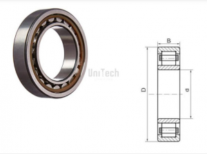 Подшипник NU311-ECP SKF